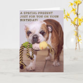 Carte d'anniversaire de chien taureau (Fleur jaune)