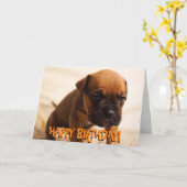 Carte d'anniversaire de chiot boxer mignonne (Fleur jaune)