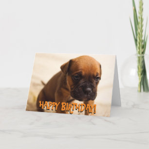 Carte d'anniversaire de chiot boxer mignonne