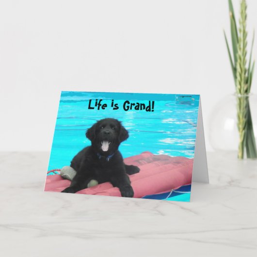 Carte d'anniversaire de chiot de Terre-Neuve (Devant)