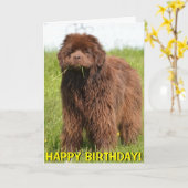 Carte d'anniversaire de chiot de Terre-Neuve (Fleur jaune)