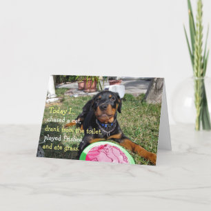 Carte d'anniversaire de chiot Rottweiler occupé