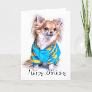 Cartes Chiwawa D Anniversaire Zazzle Be