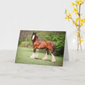 Carte d'anniversaire de Clydesdale (Fleur jaune)