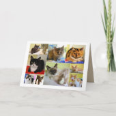 Carte d'anniversaire de collage de chat (Devant)