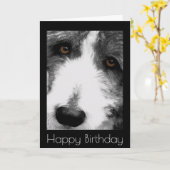 Carte d'anniversaire de Collie Eyes (Fleur jaune)