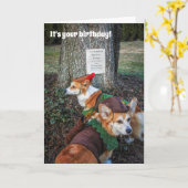 Carte d'anniversaire de corgi de Robin Hood (Fleur jaune)