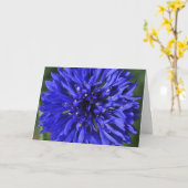 Carte d'anniversaire de Cornflower Snowcatcher (Fleur jaune)