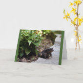 carte d'anniversaire de crapaud (Fleur jaune)