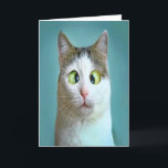 Carte d'Anniversaire de Crazy Cat<br><div class="desc">Cute Funny Crazy Cat carte d'anniversaire par THÉORY OF HUMOUR Greeting Card.</div>