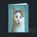 Carte d'Anniversaire de Crazy Cat<br><div class="desc">Cute Funny Crazy Cat carte d'anniversaire par THÉORY OF HUMOUR Greeting Card.</div>