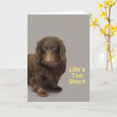 Carte d'anniversaire de Dachshund (Fleur jaune)
