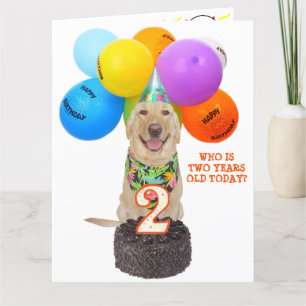 Carte d'anniversaire de deux ans pour animal de co