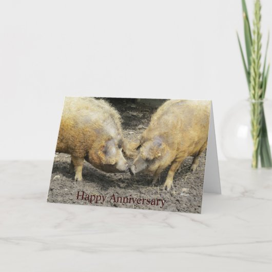 Carte d'anniversaire de deux grands cochons (Devant)