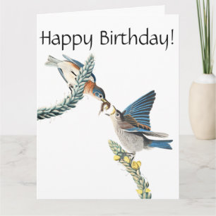 Carte d'anniversaire de faune d'oiseau d'oiseau