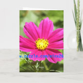 Carte d'anniversaire de fleur de cosmos (Dos)