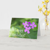 Carte d'anniversaire de Fleur sauvage violet (Fleur jaune)