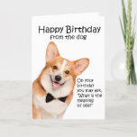 Carte d'anniversaire de Funny Corgi<br><div class="desc">Cette drôle de carte d'anniversaire de Pembroke Welsh Corgi n'est pas seulement pour les amoureux de Corgi.</div>