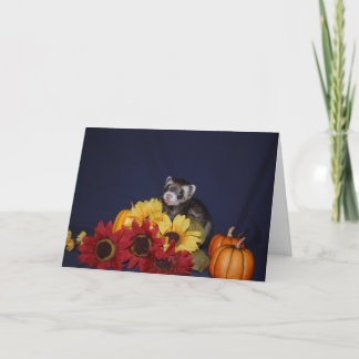 Carte d'anniversaire de furet