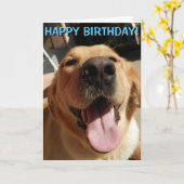 Carte d'anniversaire de golden retriever (Fleur jaune)