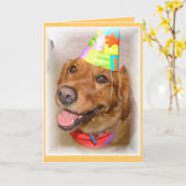 Carte d'anniversaire de golden retriever (Fleur jaune)