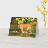 Carte d'anniversaire de Golden retriever (Fleur jaune)