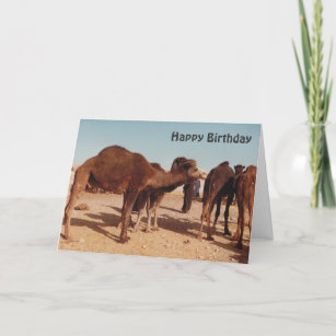 Carte D Anniversaire De Goulimine Maroc Du Marche Zazzle Be