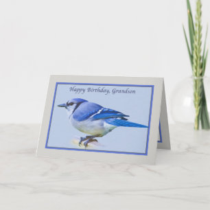 Carte d'anniversaire de Grandson avec Blue Jay Bir