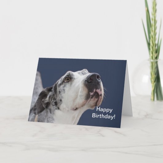 Carte d'anniversaire de great dane (Devant)
