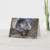 Carte d'anniversaire de Groundhog Maude (Devant)