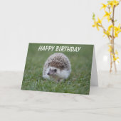 carte d'anniversaire de hérisson (Fleur jaune)