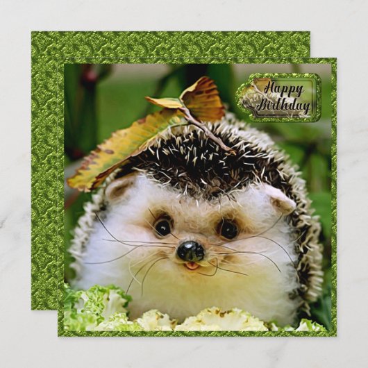 Carte d'anniversaire de Hérisson (Devant / Derrière)