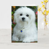 Carte d'anniversaire de Hermès au Malte (Fleur jaune)