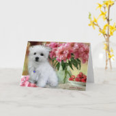 Carte d'anniversaire de Hermès au Malte (Fleur jaune)