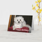 Carte d'anniversaire de Honey (Fleur jaune)