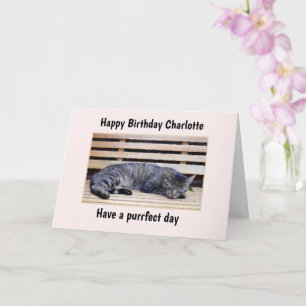 Carte d'anniversaire de jour férié Cat