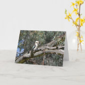 Carte d'anniversaire de Kookaburra (Fleur jaune)