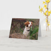 Carte d'anniversaire de la Bretagne (Fleur jaune)