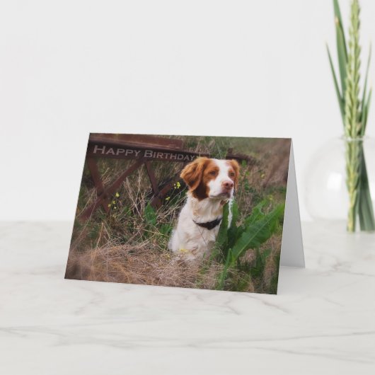 Carte d'anniversaire de la Bretagne (Devant)