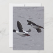 Carte d'anniversaire de la chasse au canard drôle. (Dos)