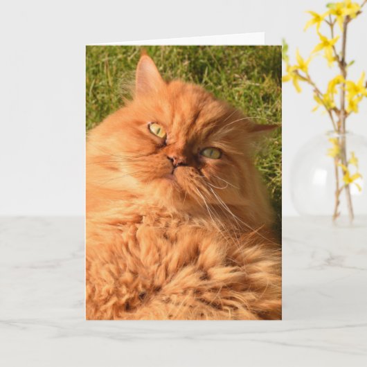 CARTE D'ANNIVERSAIRE DE LA CHATTE DE PERSIAN GINGE (Fleur jaune)