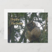 Carte d'anniversaire de la chouette aux longues or (Devant / Derrière)