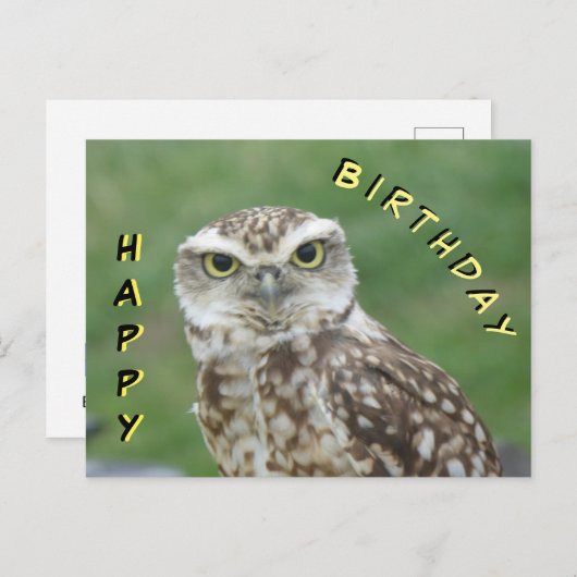 Carte d'anniversaire de la chouette peu mignonne (Devant / Derrière)