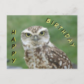 Carte d'anniversaire de la chouette peu mignonne (Devant)