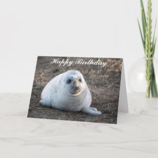 Carte d'anniversaire de la cute Grey Seal Pup
