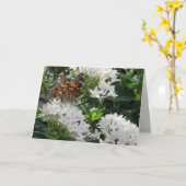 Carte d'anniversaire de la dame peinte Papillon (Fleur jaune)