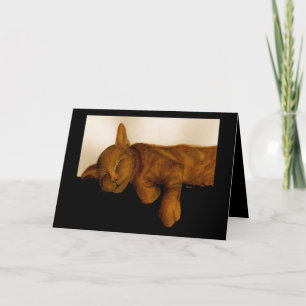 Carte d'anniversaire de la fête du chat