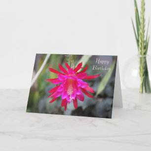 Carte d'anniversaire de la fleur de cactus