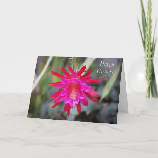 Carte d'anniversaire de la fleur de cactus (Devant)