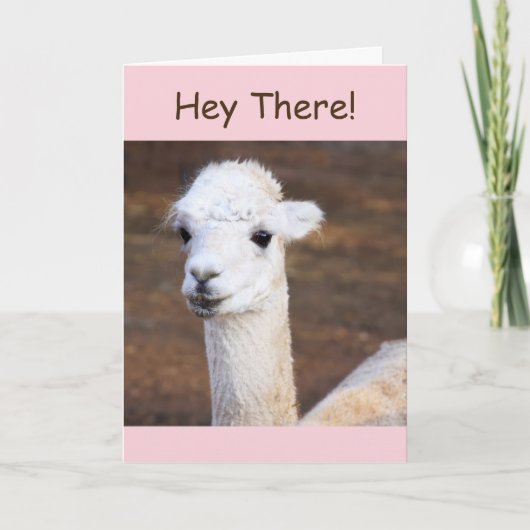 Carte d'anniversaire de la Llama (Devant)
